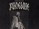 RARE Folky Psych/Prog Lp PHOENIX Mugur de Fluier ORIG