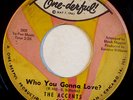 NORTHERN 45-THE ACCENTS-YOU BETTER THINK AGAIN /WHO YOU