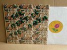 BEAT OF THE EARTH STANDARD NM Radish orig PROG PSYCH LP