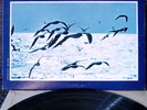 LSC 2462 Reiner Debussy RCA Living Stereo Shaded Dog