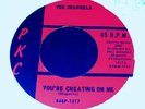 WISCONSIN GARAGE Shaprels A Fool For Your Lies 45 NM-