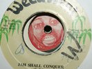 Palmer Brothers - Jah Shall Conquer 7