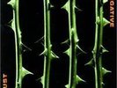 Type O Negative 
