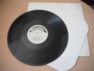 Greyship Daviz RARE 12