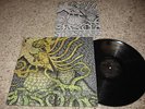 Circle Takes The Square LP-As The Roots Undo-Lyrics-NM