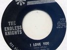 ENDLESS KNIGHTS I Love You 45 Rare NY Garage psych HEAR