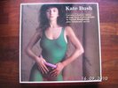 Kate Bush : A Lioness At Heart 12