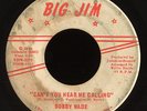 Big Jim   Bobby Wade : northern soul funk 45 ?