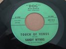 Northern Soul 45 Sandy Wynns RARE  DOC Lbl