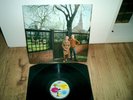 Fairport Convention Unhalfbricking LP ILPS 9102 wie NEU