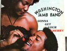 WASHINGTON JAMB BAND GONNA GET YOUR CHERRY LP ORIG FUNK