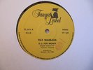 Orig.Italo Disco: RAY MASSARA - D.J. for money  RARE