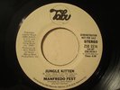 Manfredo Fest - Jungle Kitten 45 PROMO  DISCO LISTEN