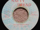 RIGHTEOUS WAY    PROPHETS RAREST YABBY U NATTY DREAD 45