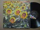 SUNNYBOYS Individuals RARE AUSSIE LP 1982 ORIGINAL