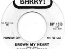 DAVID COLEMAN-DROWN MY HEART-BARRY ***DEMO***