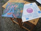 AUDIENCE FRIENDS FRIEND´D FRIEND 1970 MINT PINK SCROLL