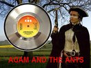 ADAM AND THE ANTS - STAND AND DELIVER