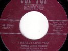 JAMES LEWIS FIELDS How Long RARE KILLER FUNK 45 * Hear