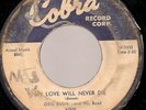 BLUES / R&B - OTIS RUSH - COBRA RECORDS - LISTEN