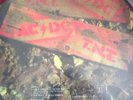 ACDC BON SCOTT' TNT VINYL PICTUR DISC ANGUS ALBERT RARE