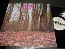 Twink THINK PINK Akarma Vinyl LP gatefold ak064 RARE NM