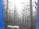 The Cure A Forest UK 12