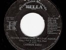 CARMEN AMEZ Fall In Love Again RARE CHICAGO DISCO 45
