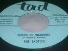 Rare TX Garage 45: The Exotics on Tad Queen Of Shadows
