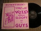SLOOPY & GUYS 1966 Detroit Garage LP PRIVATE PRESS VG+