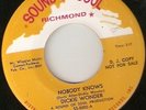DICKIE WONDER NOBODY KNOWS PROMO NORTHERN SOUL hear