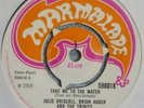 JULIE DRISCOLL  INDIAN ROPE MAN