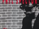 PHIL SPECTOR 'BACK TO MONO'-5 LP BOX SET- BEAUTIFUL