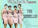60S DOO WOP TOP RANK THE SHIRELLES WILL YOU LOVE PIC/S