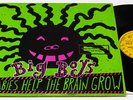 BIG BOYS/LULLABIES HELP THE BRAIN/PUNK/DICKS/PROMO/NM