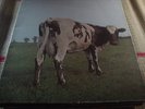Pink Floyd GF LP Atom Heart Mother french