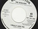 I REALLY LOVE YOU- THE CAVALIERS - NORTHERN SOUL-LISTEN