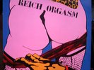 RARE LP REICH ORGASM or CHAOS Oi/PUNK/Komintern Sect