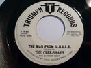 THE CLEE SHAYS SURF RAB INSTRO TRIUMPH REC LBL DJ-65 ??