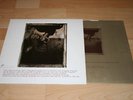 Pixies Surfer Rosa (1987 UK LP) Nr MINT