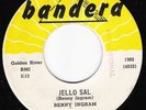 Rockabilly 45 BENNY INGRAM Jello Sal on Bandera