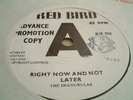 SHANGRI-LAS right now and not later UK RED BIRD DEMO 45