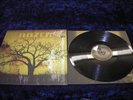 Dozer Beyond Colossal LP Clutch Kyuss QOTSA