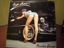 THE ZEBRAS - PARADISE GARAGE ORIGINAL LP (NM)