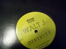 Walt J Divinity House, Techno, Deep House 12