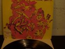 FRANTIC CONCEPTION GATEFOLD LIZARD PSYCH WHITE LABEL