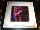 LP - LED ZEPPELIN - Hammer Of The Gods - MINT - rar 