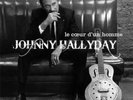 J HALLYDAY TRIPLE VINYL 25cms Le Coeur d'un Homme