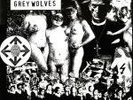 The Grey Wolves - Catholic Priests Fuck Children LP