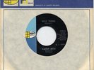LISTEN-Rare Garage 45-Cathy Rich-Kim Fowley- Wild Thing